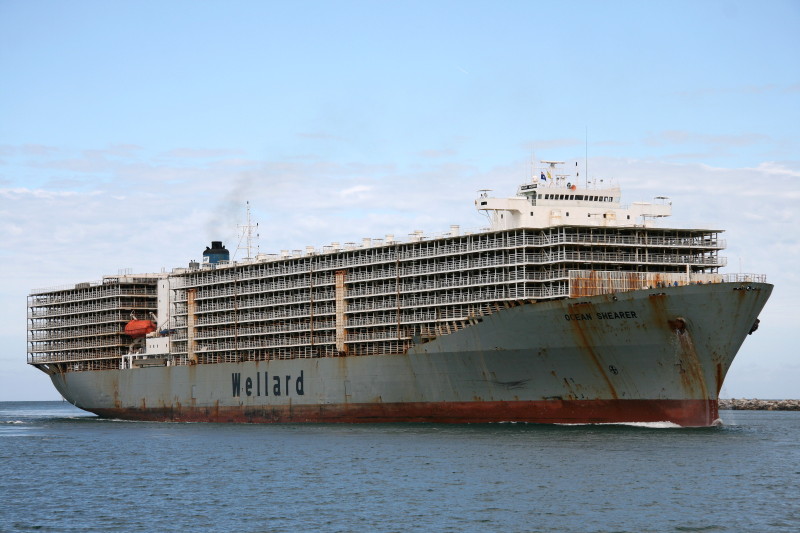 Ocean-Shearer-IMO-7810935.jpg