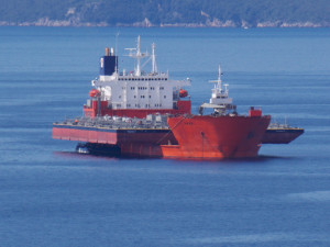 Swan - IMO 8001000