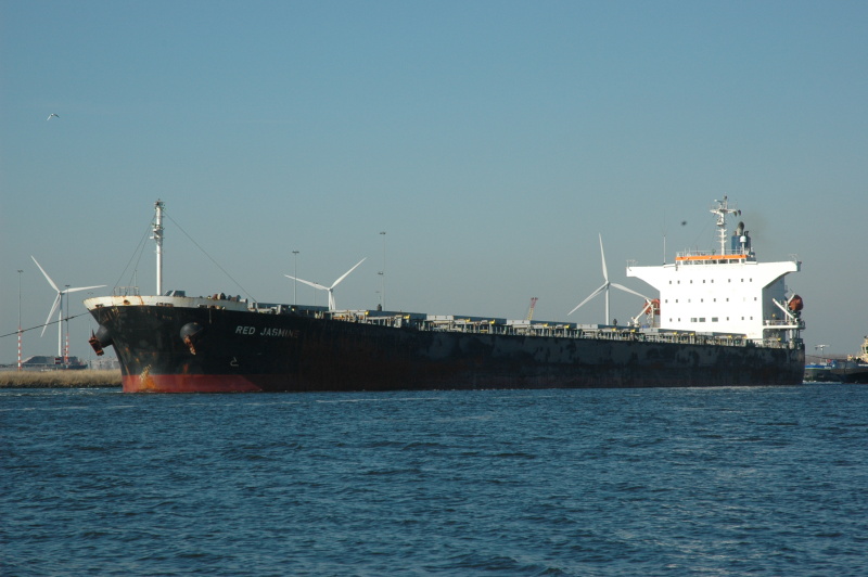 RED JASMINE IMO 9342827 The Maritime Telegraph Морская Правда