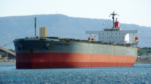 CORONA INFINITY - IMO 9261932