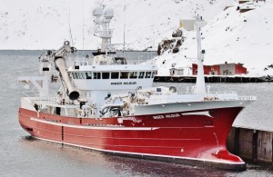 INGER HILDUR - IMO 9261839