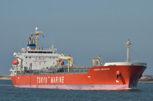 ARGENT HIBISCUS - IMO 9414266