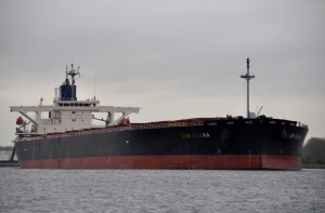 Aom Elena - IMO 9414888