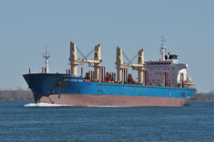 NEW LEGEND PEARL - IMO 9414773