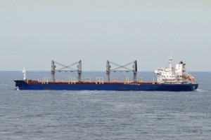 VENUS BAY - IMO 9414450