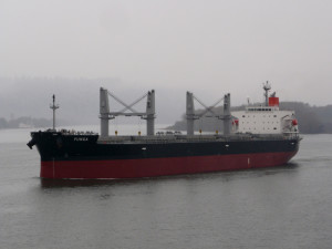 Yunga - IMO 9414917