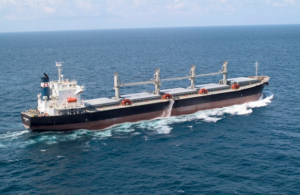 starbulk