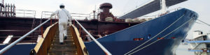 Ship_classification_Fleet_in_service_PSC_1134x300_m0011_tcm8-4485