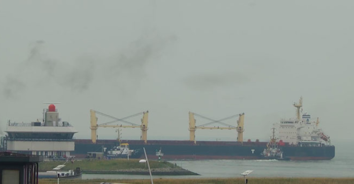 Bulk carrier grounding, Terneuzen