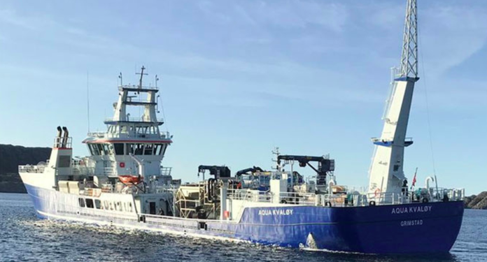 Fish carrier grounding, Norway